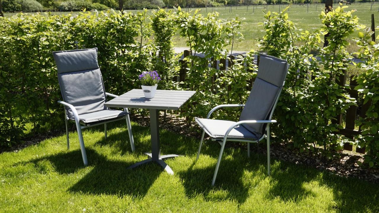 Ferienwohnung Wiesenblick Nahe Region Celle Und Hannover Buchholz Aller Ngoại thất bức ảnh