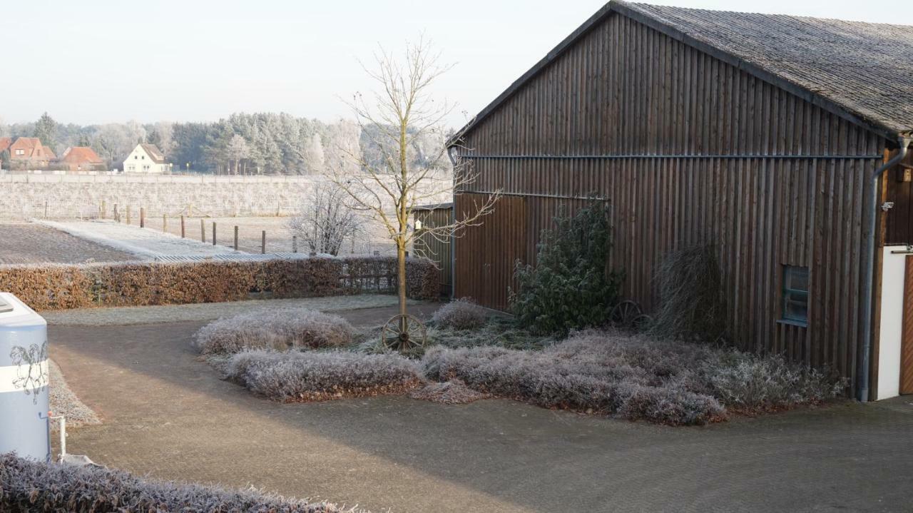 Ferienwohnung Wiesenblick Nahe Region Celle Und Hannover Buchholz Aller Ngoại thất bức ảnh
